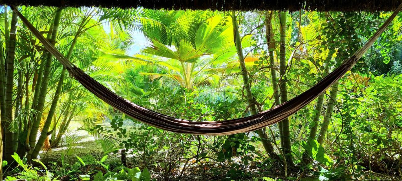 Castelo Vendom Ecolodge Parajuru Bagian luar foto