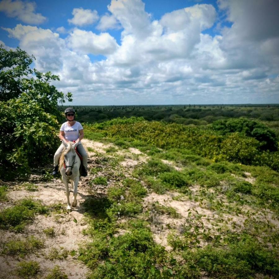Castelo Vendom Ecolodge Parajuru Bagian luar foto