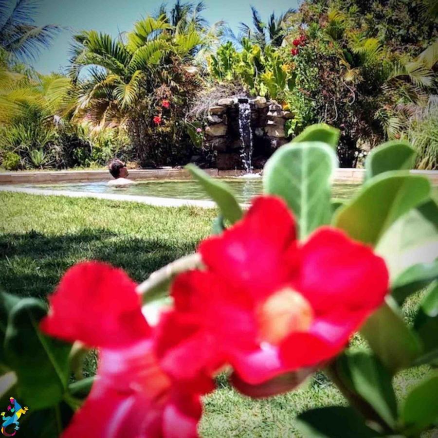 Castelo Vendom Ecolodge Parajuru Bagian luar foto